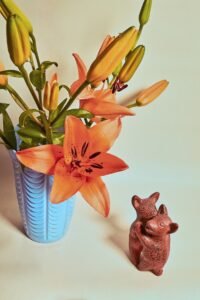 orange and yellow flower in blue and white ceramic vase